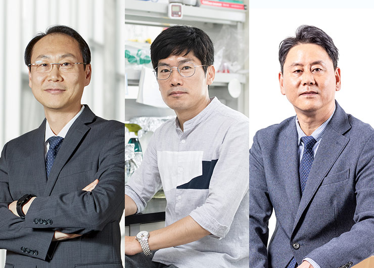 본교 연구진, 원천기술개발사업 주관기관 선정